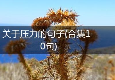 关于压力的句子(合集10句)