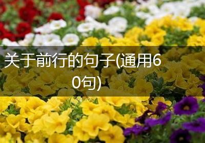 关于前行的句子(通用60句)
