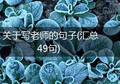 关于写老师的句子(汇总49句)