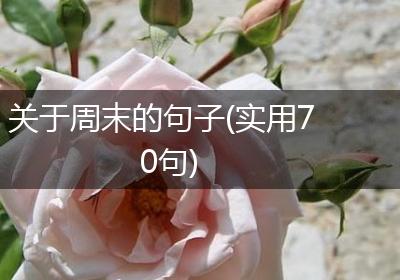 关于周末的句子(实用70句)