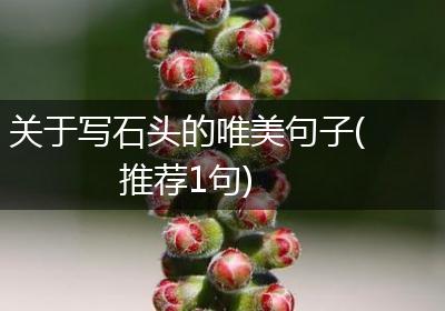 关于写石头的唯美句子(推荐1句)