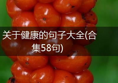 关于健康的句子大全(合集58句)