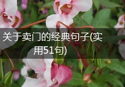 关于卖门的经典句子(实用51句)