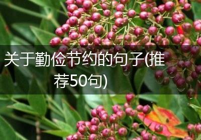 关于勤俭节约的句子(推荐50句)
