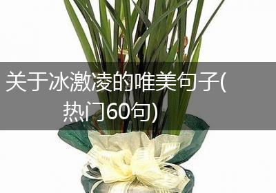 关于冰激凌的唯美句子(热门60句)