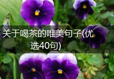关于喝茶的唯美句子(优选40句)