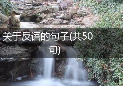 关于反语的句子(共50句)