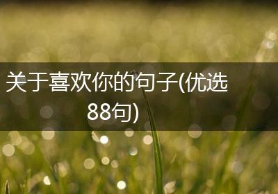 关于喜欢你的句子(优选88句)
