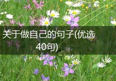 关于做自己的句子(优选40句)