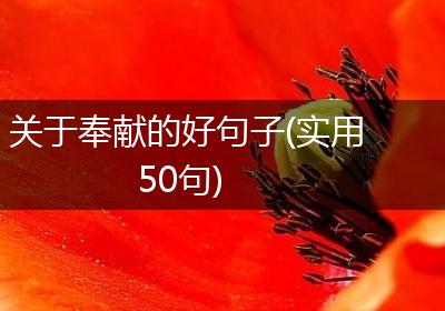 关于奉献的好句子(实用50句)