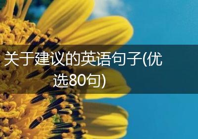 关于建议的英语句子(优选80句)