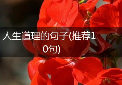 人生道理的句子(推荐10句)