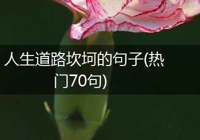 人生道路坎坷的句子(热门70句)