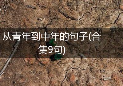 从青年到中年的句子(合集9句)