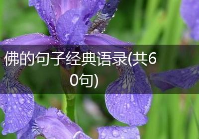 佛的句子经典语录(共60句)