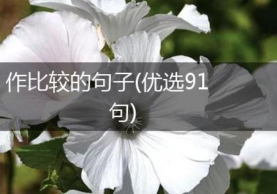 作比较的句子(优选91句)