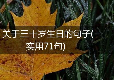 关于三十岁生日的句子(实用71句)
