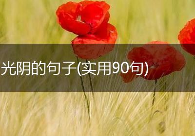 光阴的句子(实用90句)
