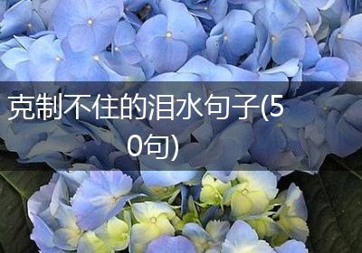 克制不住的泪水句子(50句)