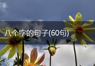 八个字的句子(60句)