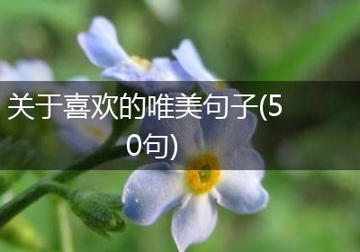 关于喜欢的唯美句子(50句)