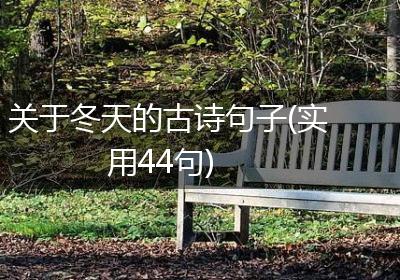 关于冬天的古诗句子(实用44句)