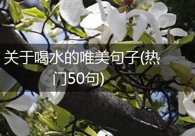 关于喝水的唯美句子(热门50句)