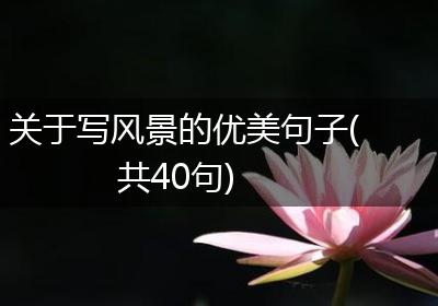 关于写风景的优美句子(共40句)