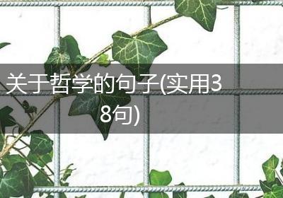 关于哲学的句子(实用38句)
