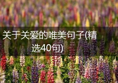 关于关爱的唯美句子(精选40句)