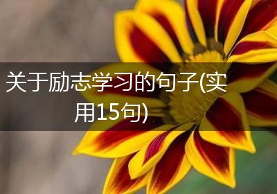 关于励志学习的句子(实用15句)