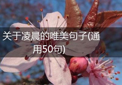 关于凌晨的唯美句子(通用50句)