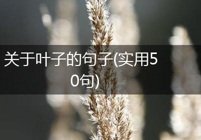 关于叶子的句子(实用50句)