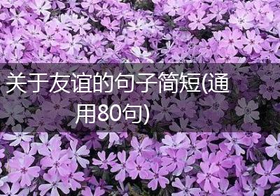 关于友谊的句子简短(通用80句)