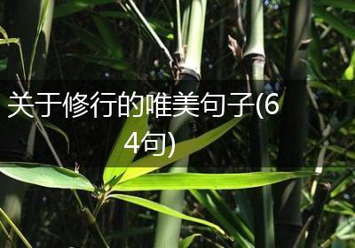 关于修行的唯美句子(64句)