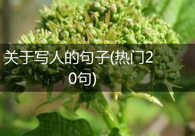关于写人的句子(热门20句)