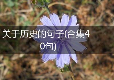 关于历史的句子(合集40句)