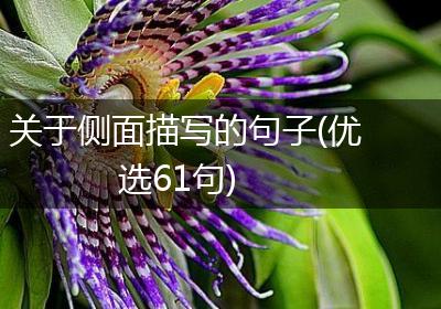 关于侧面描写的句子(优选61句)