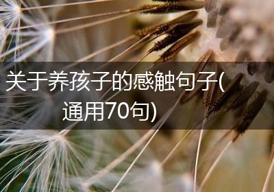 关于养孩子的感触句子(通用70句)