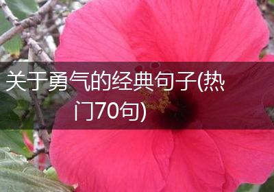 关于勇气的经典句子(热门70句)
