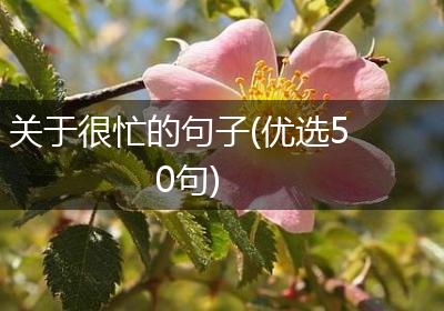 关于很忙的句子(优选50句)