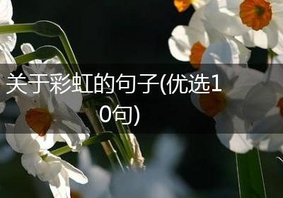 关于彩虹的句子(优选10句)