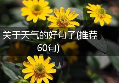 关于天气的好句子(推荐60句)