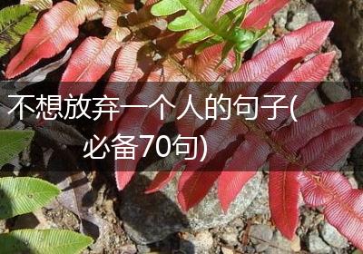 不想放弃一个人的句子(必备70句)