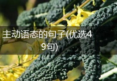 主动语态的句子(优选49句)