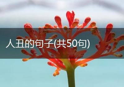 人丑的句子(共50句)