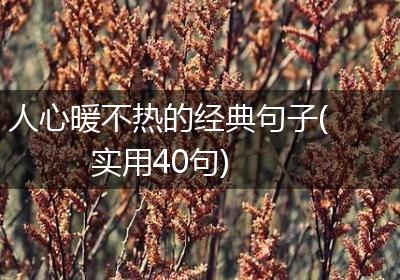 人心暖不热的经典句子(实用40句)