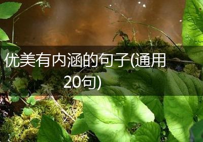 优美有内涵的句子(通用20句)