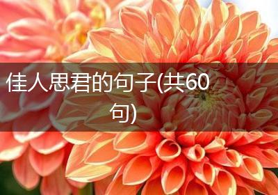 佳人思君的句子(共60句)