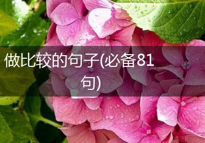 做比较的句子(必备81句)